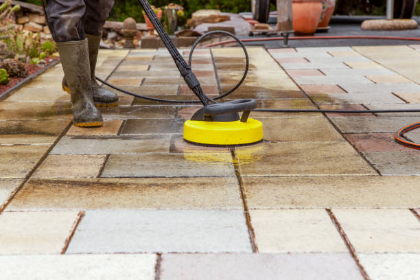 Animal Enclosure Cleaning in Plainfield, IN